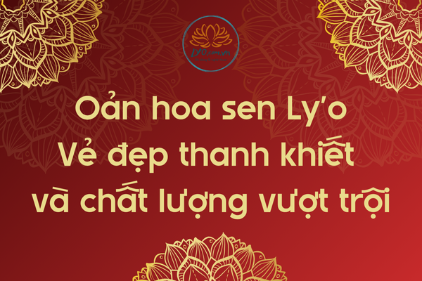 Oản hoa sen Ly'o: vẻ đẹp thanh khiết và chất lượng vượt trội