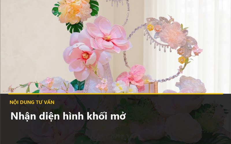 Oản quạt sen hồng LYO minh họa hình khối
