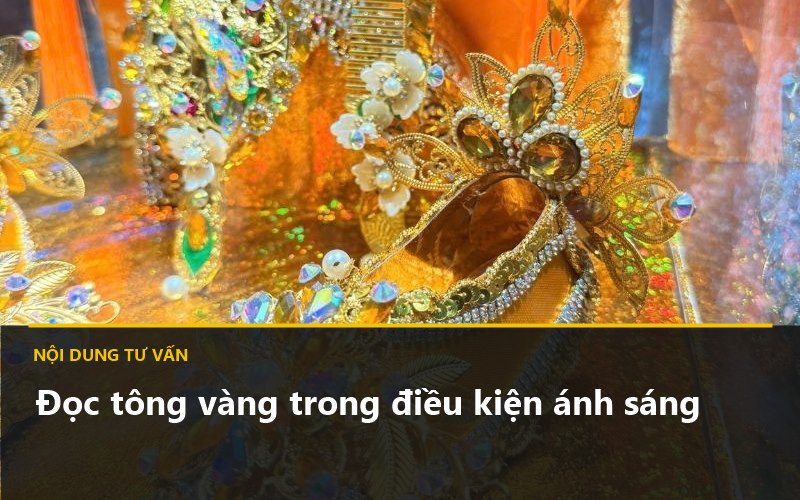 Ảnh sản phẩm mẫu Mã vàng minh họa cho Mục lục và phạm vi bài viết